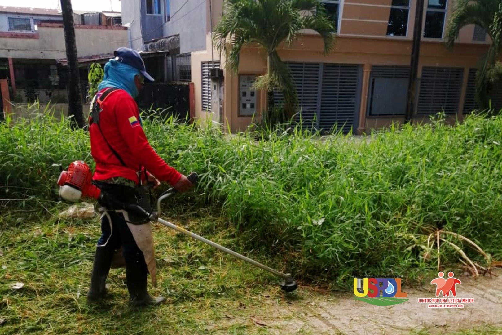 INTERVENCION ZONAS VERDES