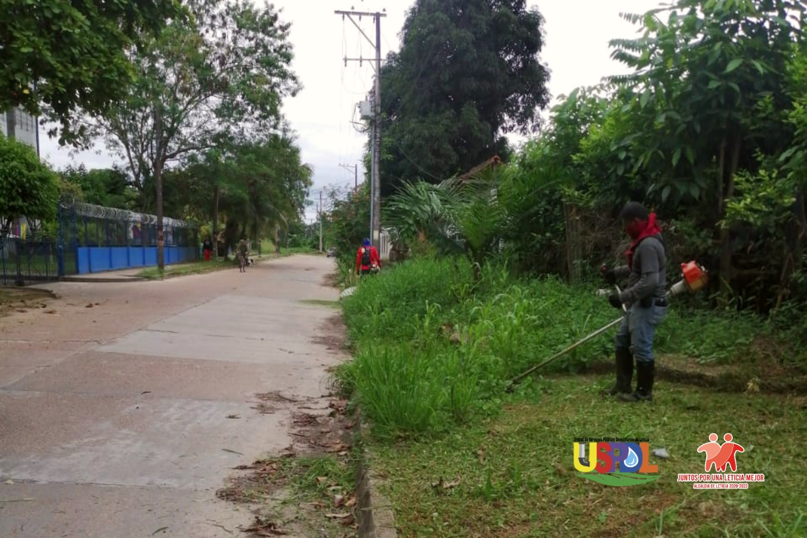 PODA ZONAS VERDES Y COMUNES