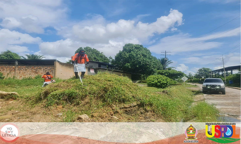 Limpieza_Poda_Sector_Carretera