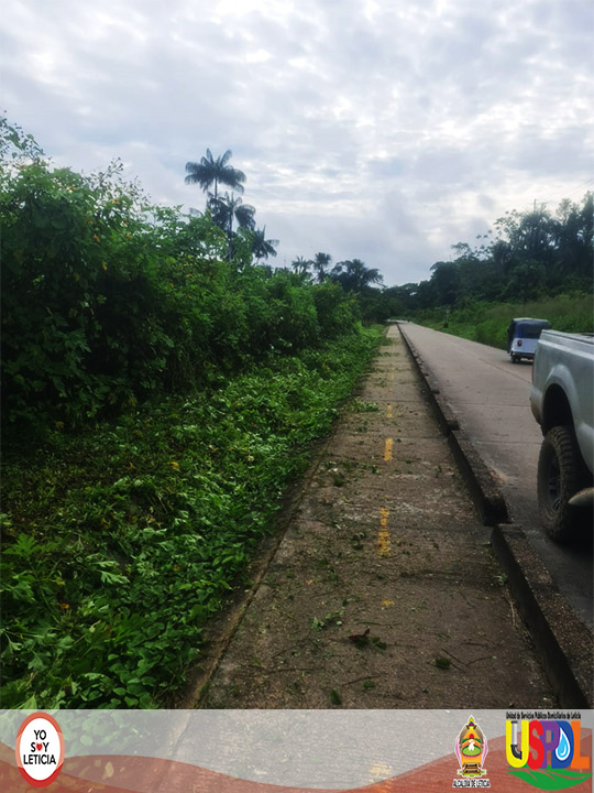 Limpieza_Poda_Sector_Carretera