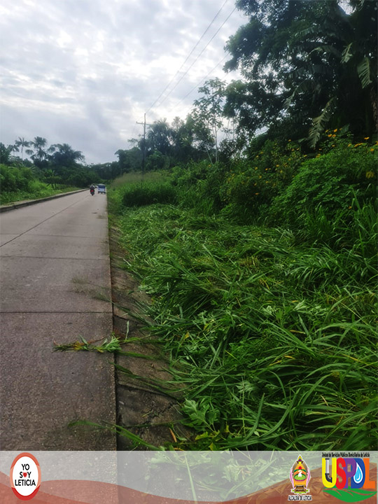 Limpieza_Poda_Sector_Carretera