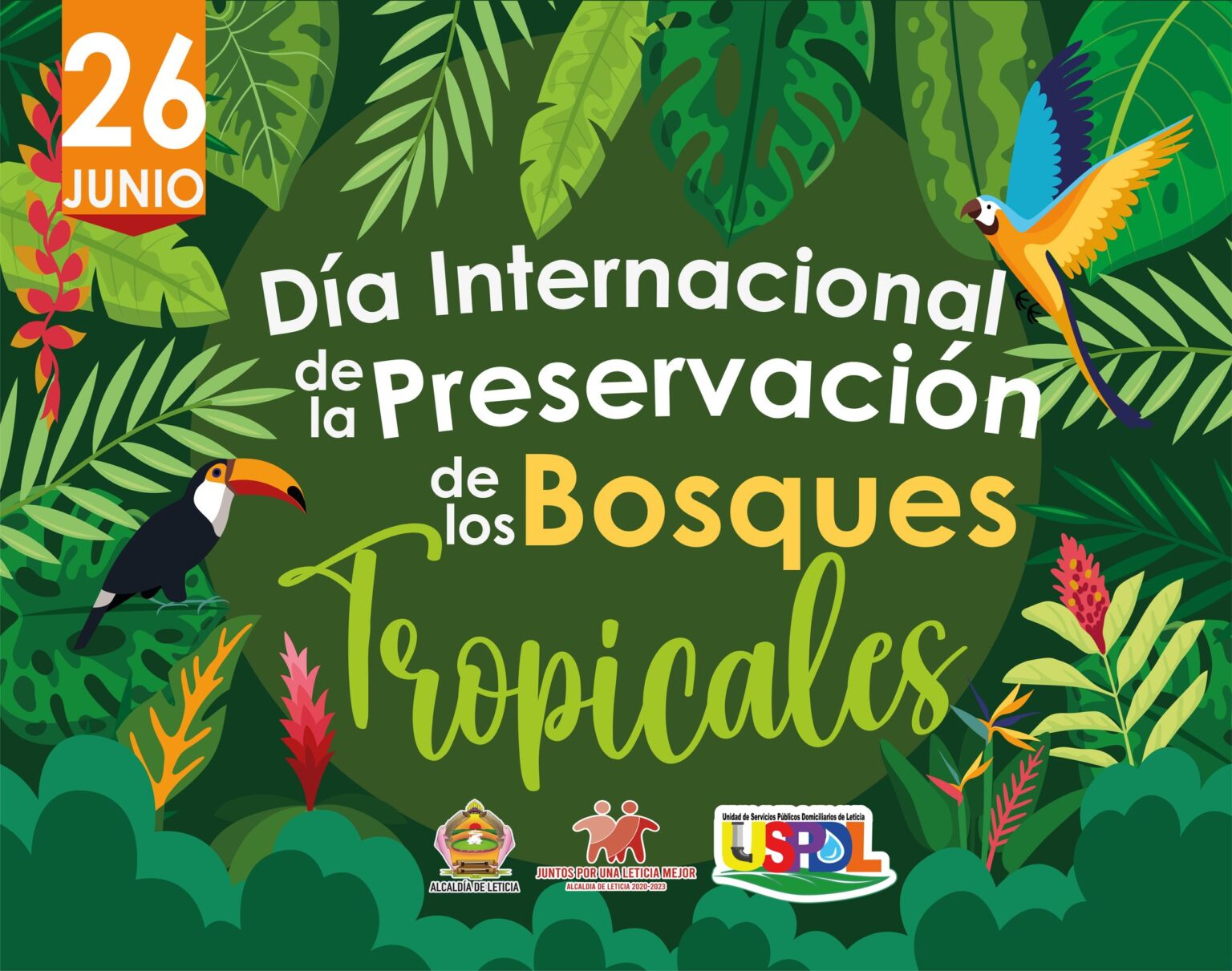 D A Internacional De La Preservaci N De Los Bosques Tropicales Unidad